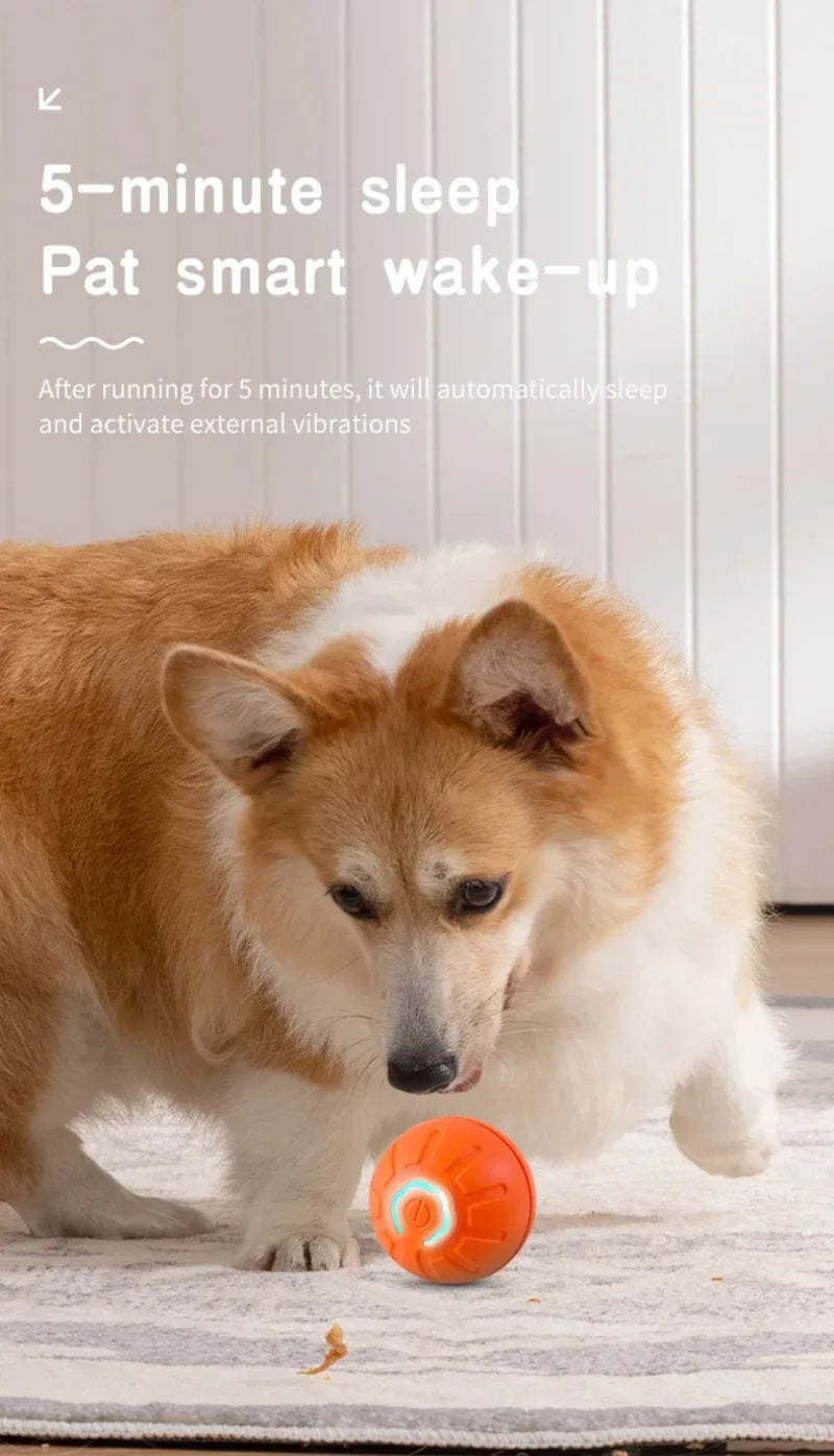 Smart-Spielball für Hund & Katze