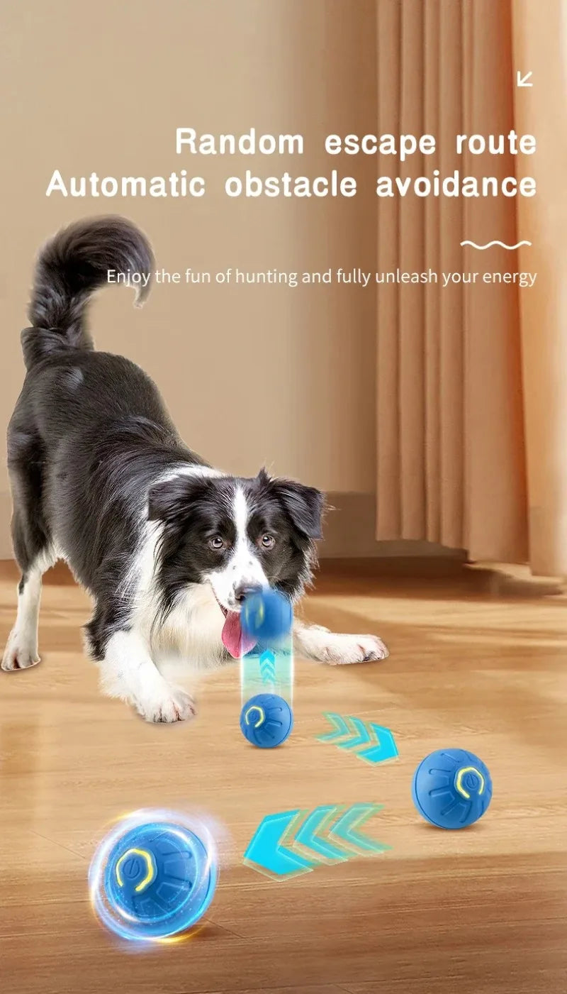 Smart-Spielball für Hund & Katze