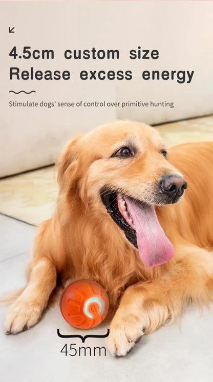 Smart-Spielball für Hund & Katze