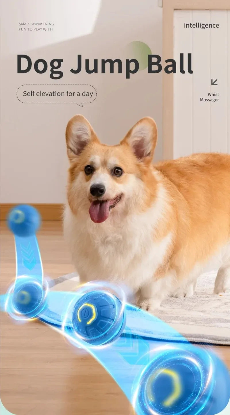 Smart-Spielball für Hund & Katze