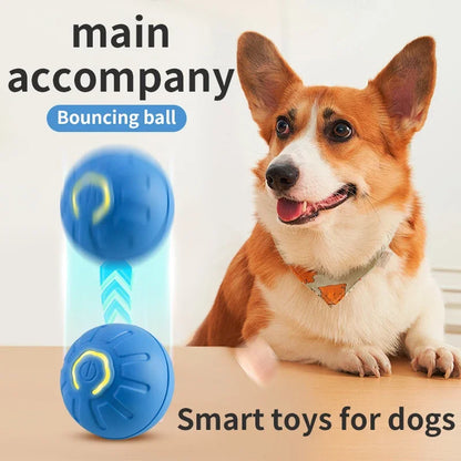 Smart-Spielball für Hund & Katze