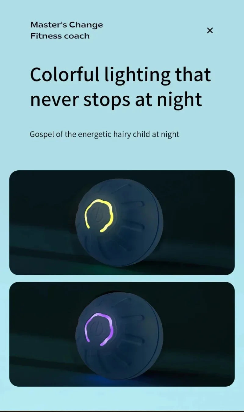 Smart-Spielball für Hund & Katze