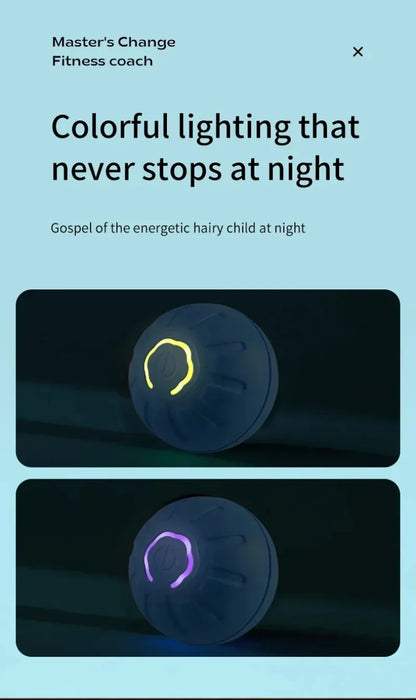 Smart-Spielball für Hund & Katze